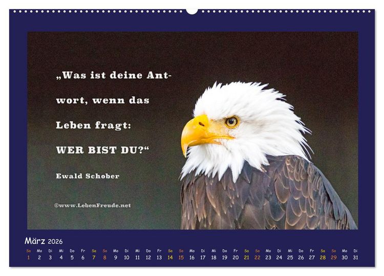 Produktbild: Bewusst leben und gl&uuml;cklich sein (hochwertiger Premium Wandkalender 2026 DIN A2 quer), Kunstdruck in Hochglanz