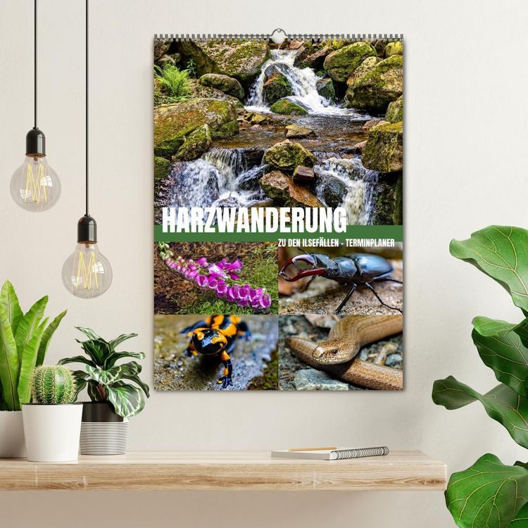 Produktbild: Harzwanderung zu den Ilsef&auml;llen - Terminplaner (Wandkalender 2026 DIN A2 hoch), CALVENDO Monatskalender