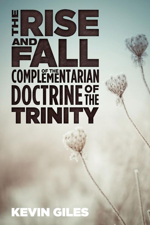 Produktbild: The Rise and Fall of the Complementarian Doctrine of the Trinity