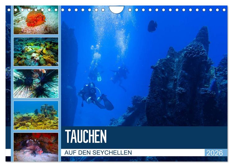 Produktbild: Tauchen auf den Sychellen (Wandkalender 2026 DIN A4 quer), CALVENDO Monatskalender