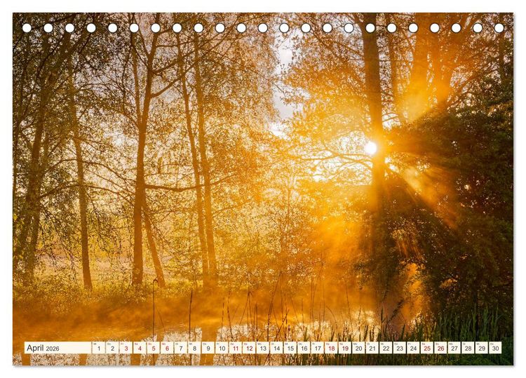 Produktbild: Hamburg: Vier- und Marschlande (Tischkalender 2026 DIN A5 quer), CALVENDO Monatskalender