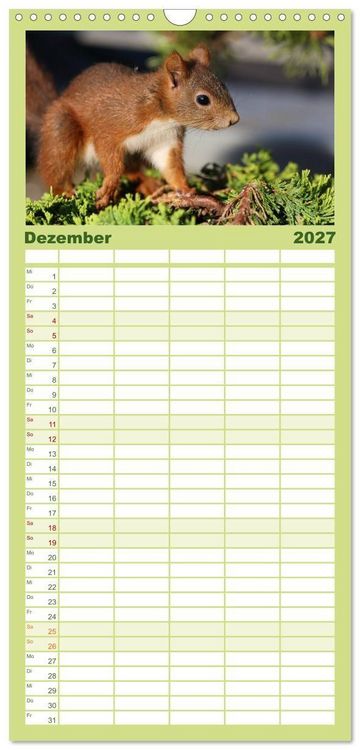 Produktbild: Familienplaner 2027 - Eichh&ouml;rnchen Kinder mit 5 Spalten (Wandkalender, 21 x 45 cm) CALVENDO