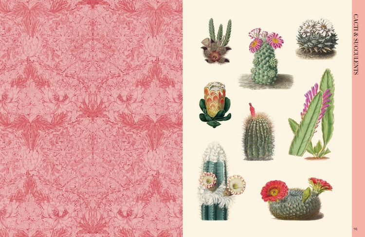 Produktbild: Botanical Art to Cut out and Collage