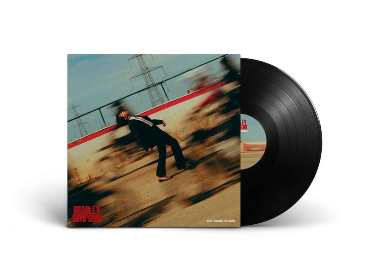 Produktbild: The Panic Years