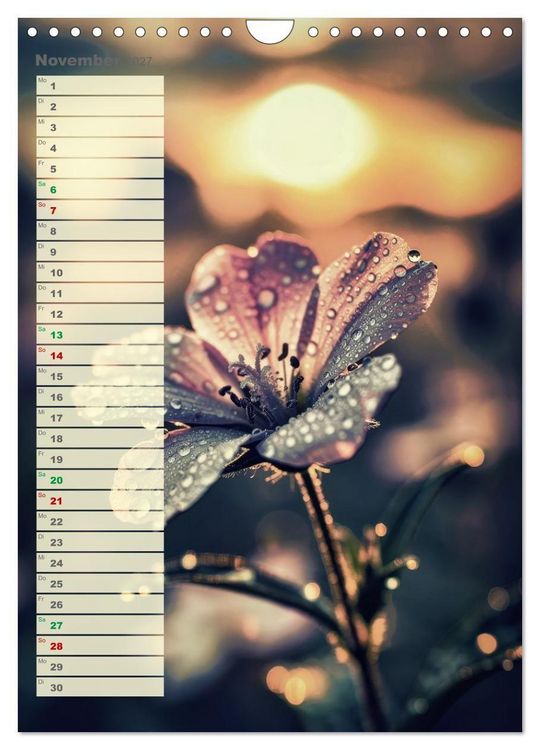 Produktbild: D&uuml;nen und Buhnen (Wandkalender 2027 DIN A4 hoch), CALVENDO Monatskalender
