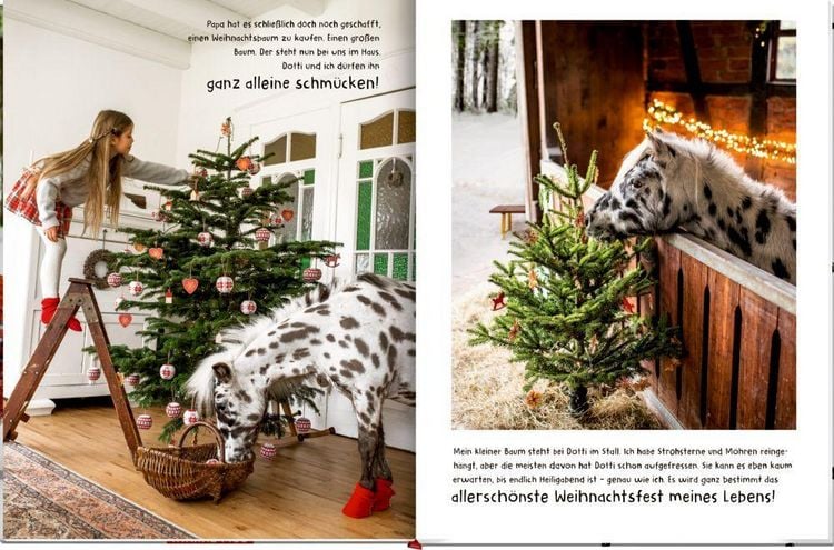 Produktbild: Lotti & Dotti warten auf Weihnachten (Bd. 4)