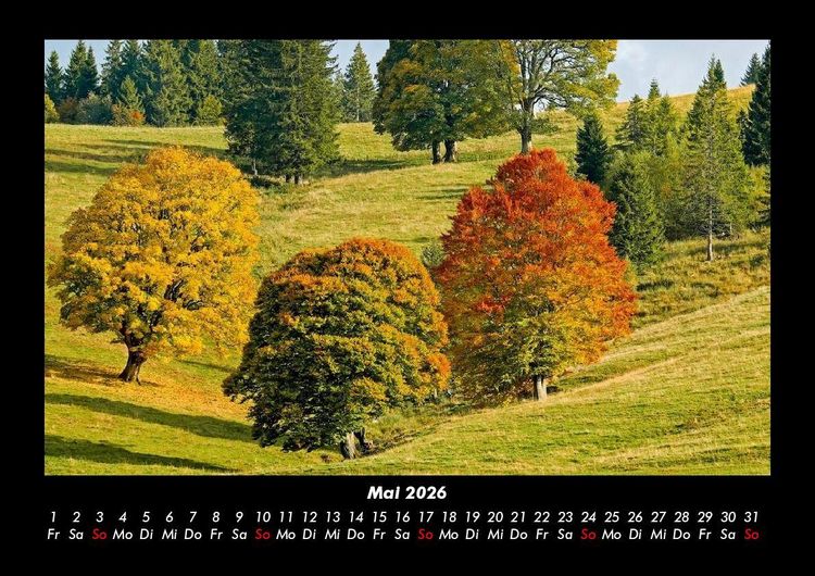 Produktbild: B&auml;ume 2026 Fotokalender DIN A3
