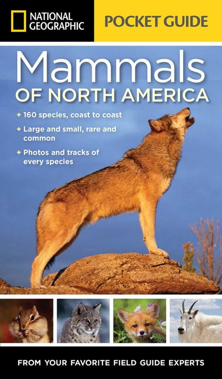 Produktbild: National Geographic Pocket Guide to the Mammals of North America