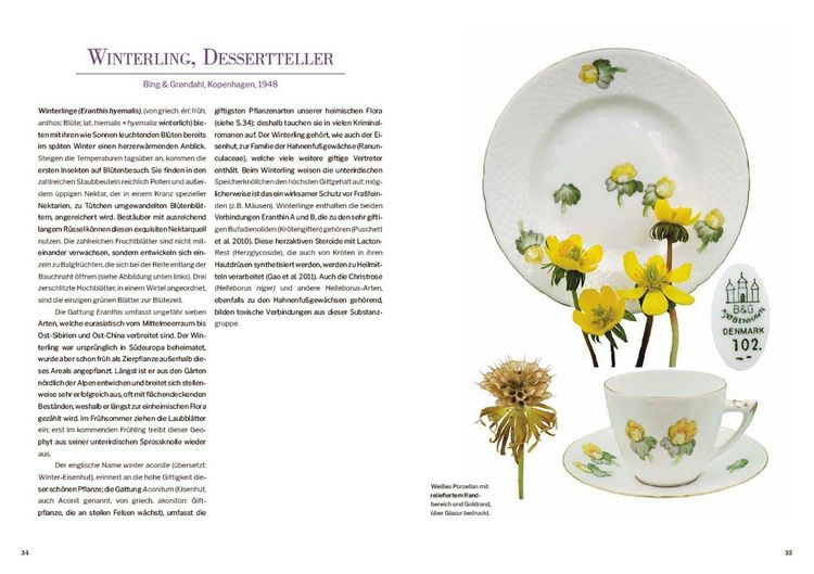 Produktbild: Das Herbarium floraler Dekore