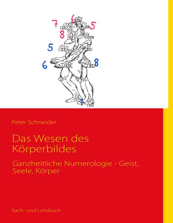Produktbild: Das Wesen des K&ouml;rperbildes