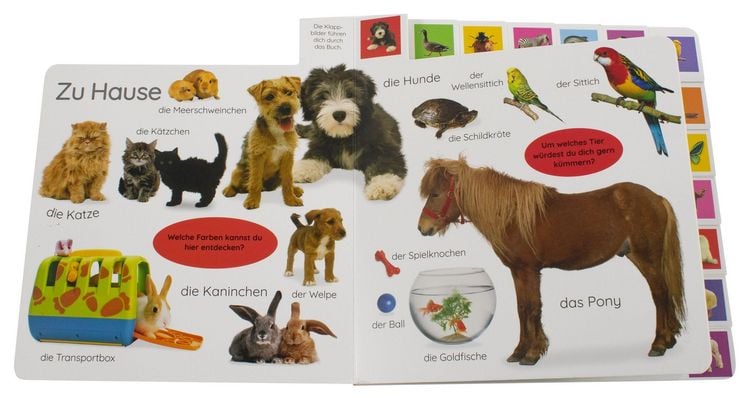 Produktbild: Erstes Lernen. Tiere