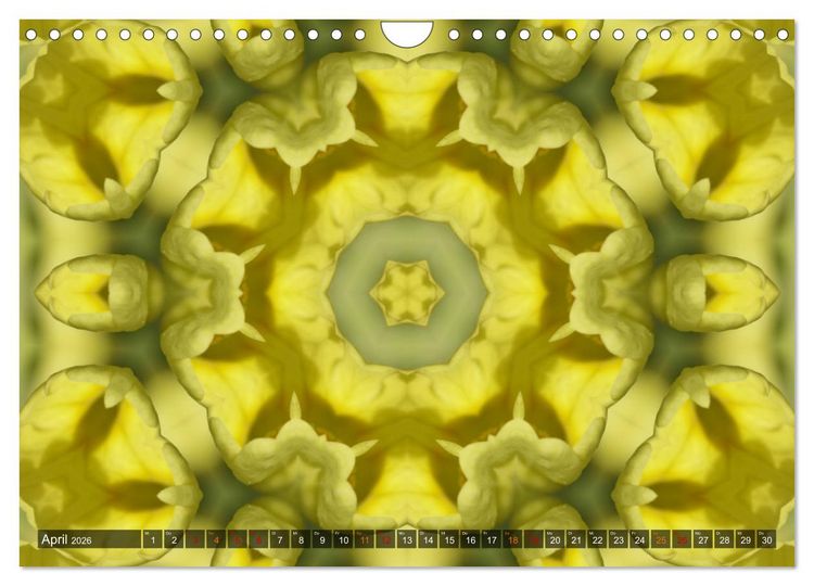 Produktbild: Natur im Kaleidoskop (Wandkalender 2026 DIN A4 quer), CALVENDO Monatskalender