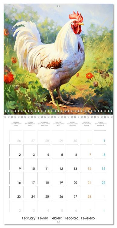 Produktbild: Coqs de nos campagnes (Calendrier mural carr&eacute; 2026 30x30 cm) Calendrier double avec une page pour vos prises de notes