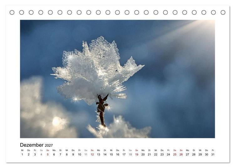 Produktbild: Naturkunstwerke (Tischkalender 2027 DIN A5 quer), CALVENDO Monatskalender