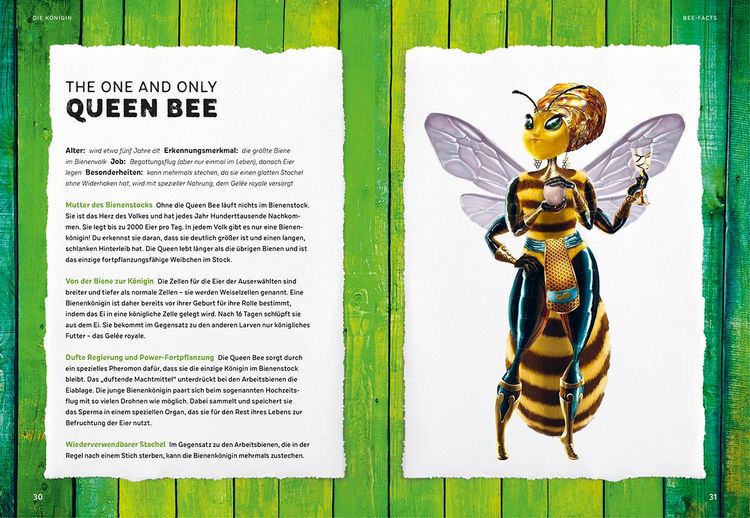 Produktbild: #meetthebeefamily