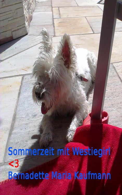 Produktbild: Sommerzeit mit Westiegirl