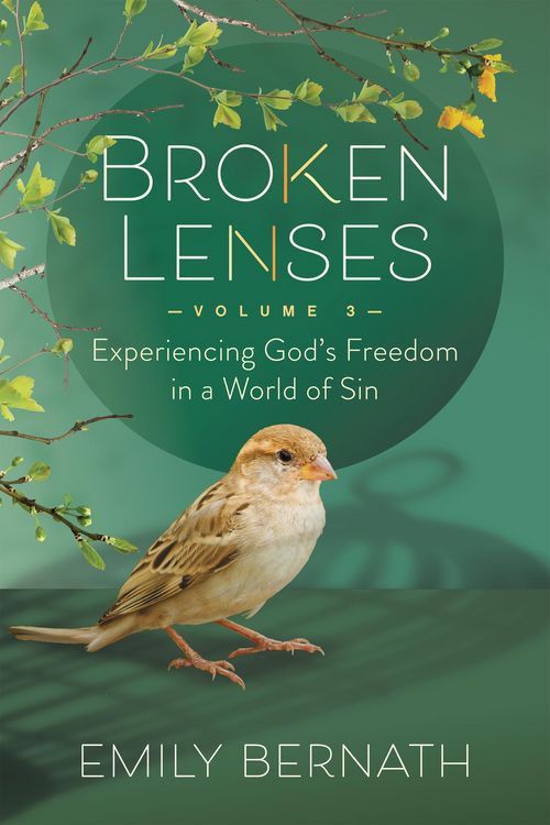 Produktbild: Broken Lenses Volume 3