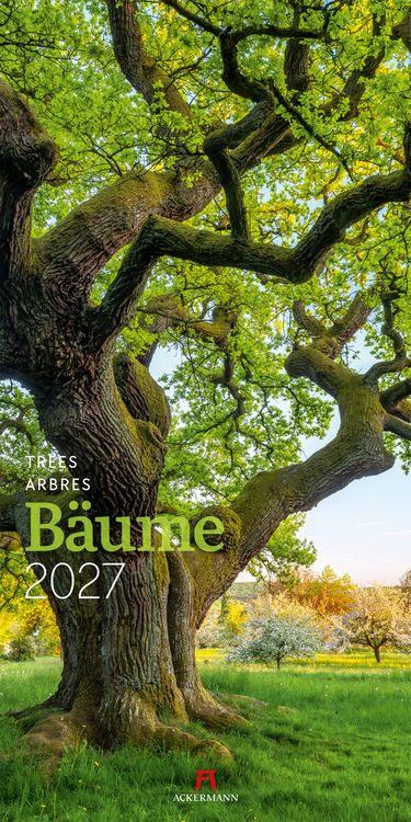 Produktbild: B&auml;ume Kalender 2027