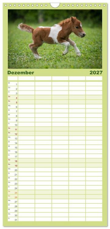 Produktbild: Familienplaner 2027 - Ponys. Herzensbrecher mit Grips mit 5 Spalten (Wandkalender, 21 x 45 cm) CALVENDO