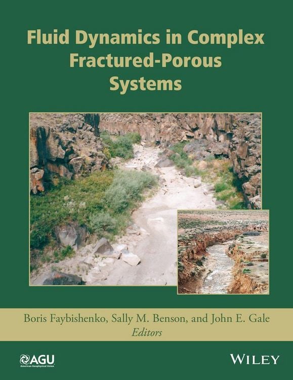 Produktbild: Fluid Dynamics in Complex Fractured-Porous Systems