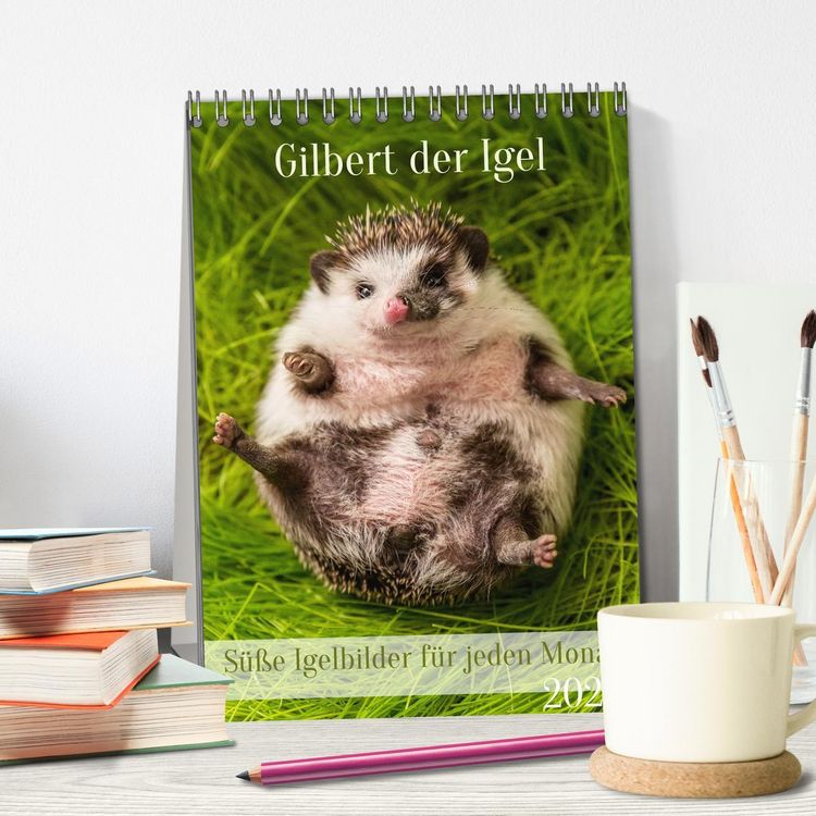 Produktbild: Gilbert der Igel (Tischkalender 2026 DIN A5 hoch), CALVENDO Monatskalender