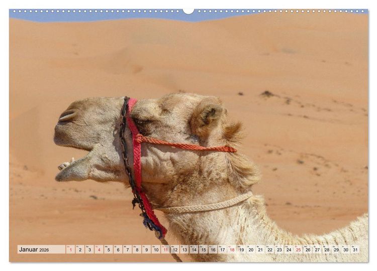 Produktbild: Oman - Zauberhafte Landschaften (Wandkalender 2026 DIN A2 quer), CALVENDO Monatskalender