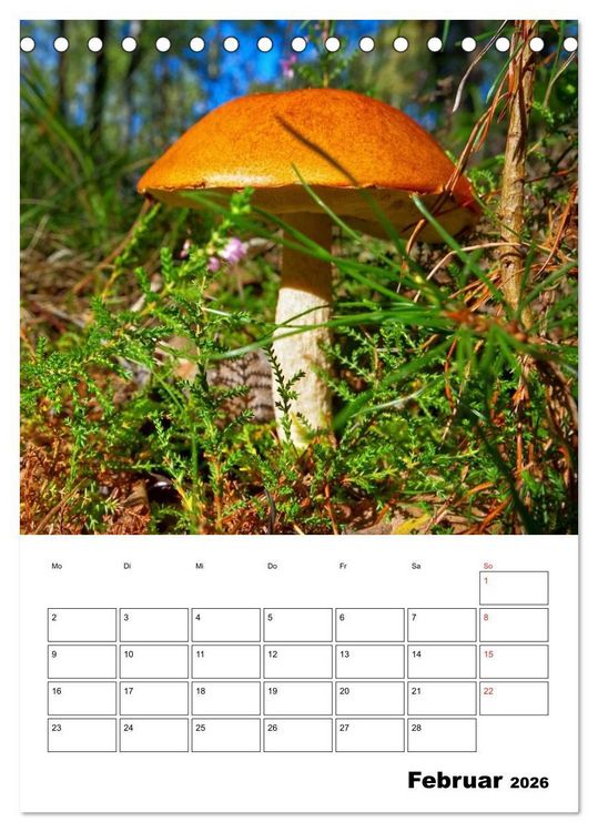 Produktbild: Heimische Waldpilze (Tischkalender 2026 DIN A5 hoch), CALVENDO Monatskalender