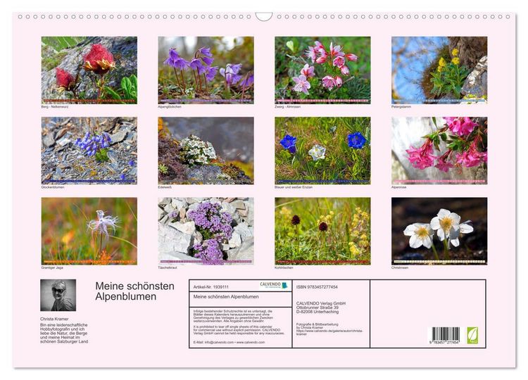 Produktbild: Meine sch&ouml;nsten Alpenblumen (Wandkalender 2026 DIN A2 quer), CALVENDO Monatskalender