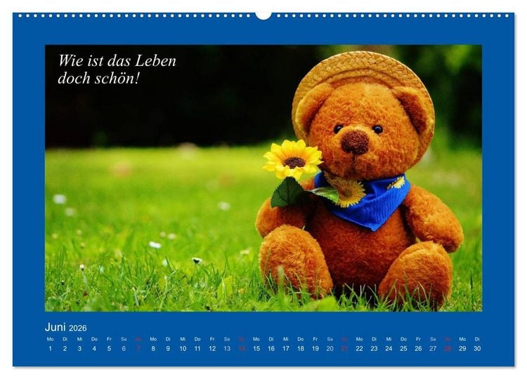 Produktbild: Sommer im Teddy-Land. B&auml;r und Freunde (Wandkalender 2026 DIN A2 quer), CALVENDO Monatskalender