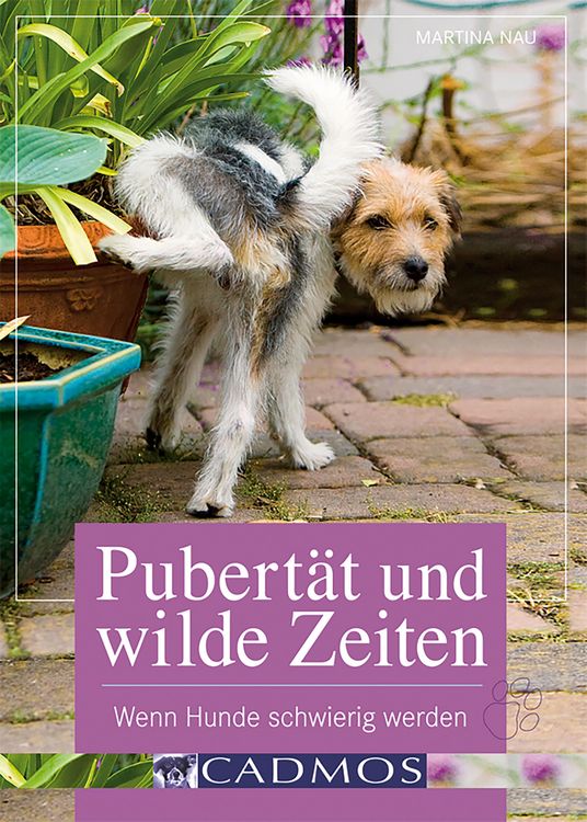 Produktbild: Pubert&auml;t und wilde Zeiten