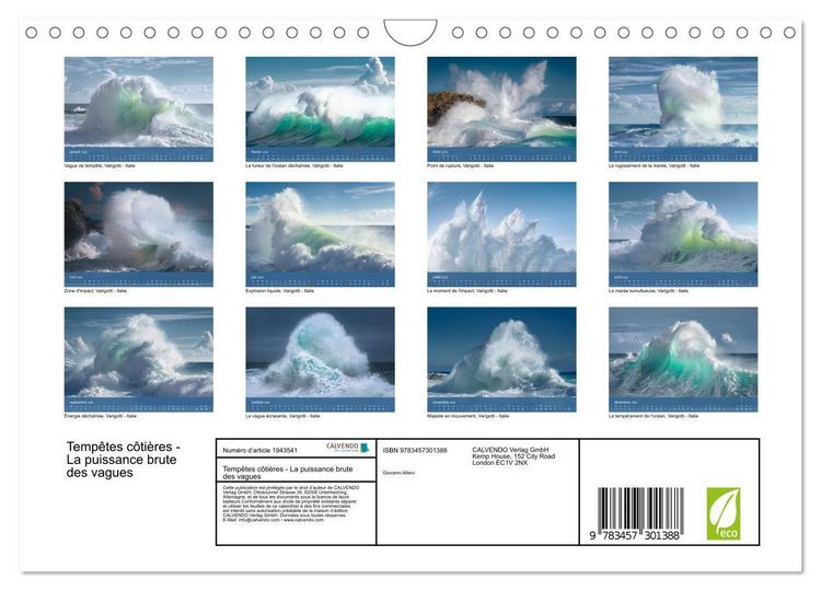 Produktbild: Temp&ecirc;tes c&ocirc;ti&egrave;res - La puissance brute des vagues (Calendrier mural 2026 DIN A4 vertical), CALVENDO calendrier mensuel