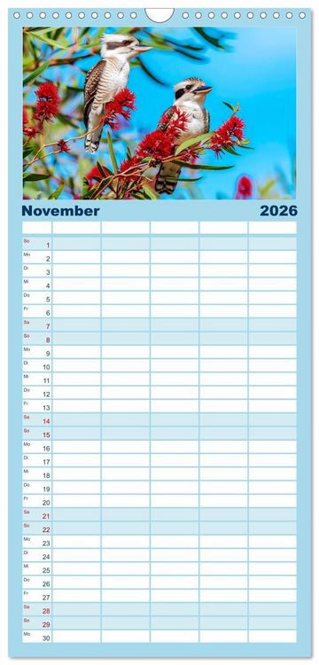 Produktbild: Familienplaner 2026 - Der Kookaburra - Im australischen Busch mit dem lachenden Hans mit 5 Spalten (Wandkalender, 21 x 45 cm) CALVENDO