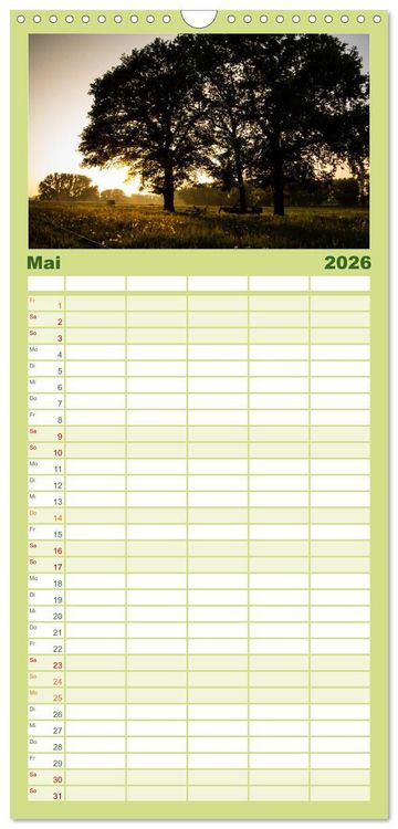 Produktbild: Familienplaner 2026 - Wald mit 5 Spalten (Wandkalender, 21 x 45 cm) CALVENDO
