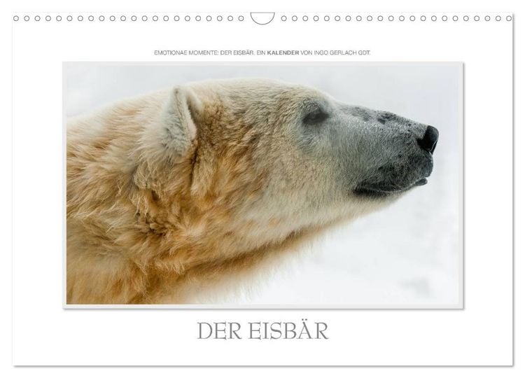 Produktbild: Emotionale Momente: Der Eisb&auml;r. (Wandkalender 2026 DIN A3 quer), CALVENDO Monatskalender