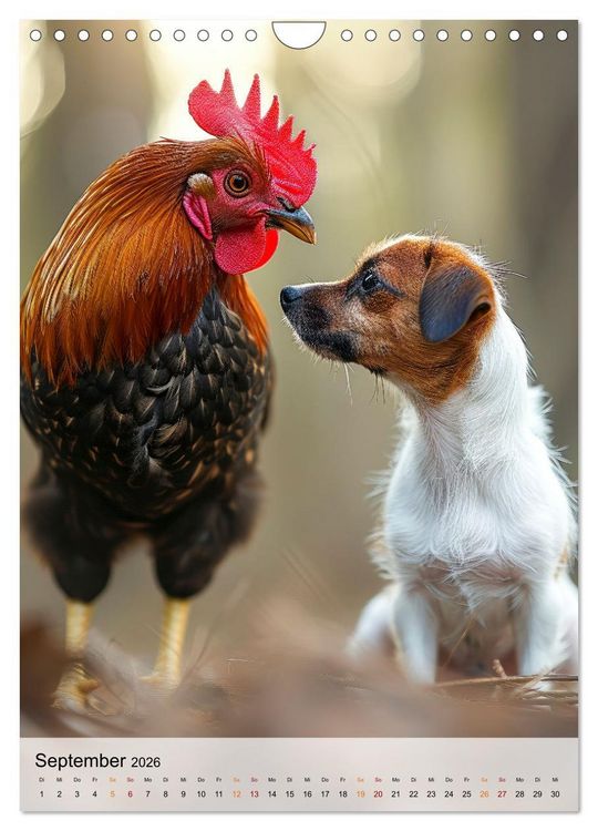 Produktbild: Jack Russel Terrier - furchtlos und viel Selbstvertrauen (Wandkalender 2026 DIN A4 hoch), CALVENDO Monatskalender
