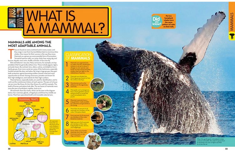 Produktbild: National Geographic Kids Animal Encyclopedia, 2nd Edition