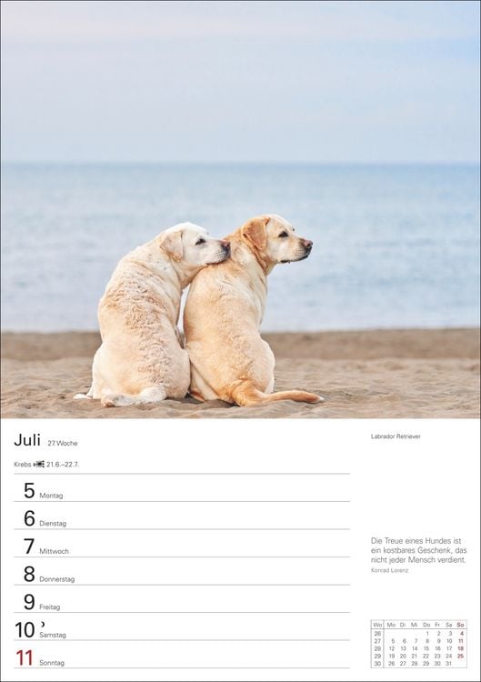Produktbild: Hunde Wochenplaner 2027 - 53 faszinierende Fotografien