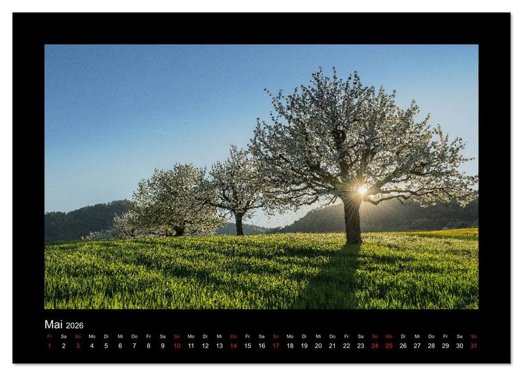Produktbild: My Switzerland (Wandkalender 2026 DIN A3 quer), CALVENDO Monatskalender