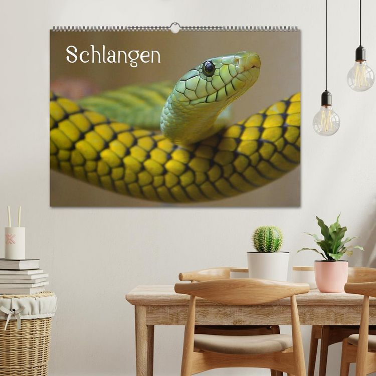 Produktbild: Schlangen (Wandkalender 2026 DIN A2 quer), CALVENDO Monatskalender