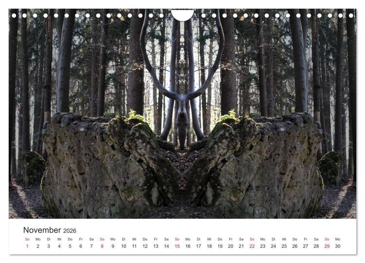 Produktbild: Spiegelwelten - Natur anders sehen (Wandkalender 2026 DIN A4 quer), CALVENDO Monatskalender