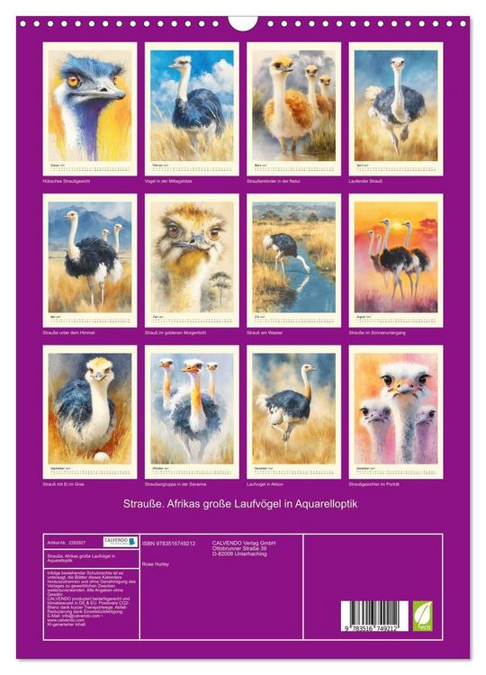 Produktbild: Strau&szlig;e. Afrikas gro&szlig;e Laufv&ouml;gel in Aquarelloptik (Wandkalender 2027 DIN A3 hoch), CALVENDO Monatskalender