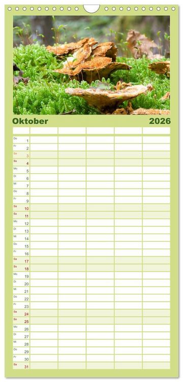 Produktbild: Familienplaner 2026 - Pilze in den Herbstw&auml;ldern mit 5 Spalten (Wandkalender, 21 x 45 cm) CALVENDO