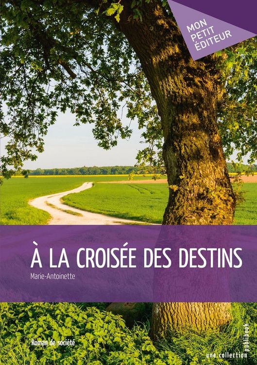 Produktbild: A la croisee des destins