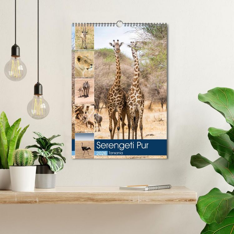 Produktbild: Serengeti Pur - Tansania (Wandkalender 2026 DIN A3 hoch), CALVENDO Monatskalender