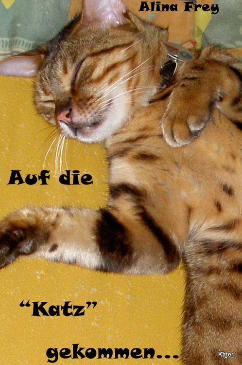 Produktbild: Auf die 'Katz' gekommen...