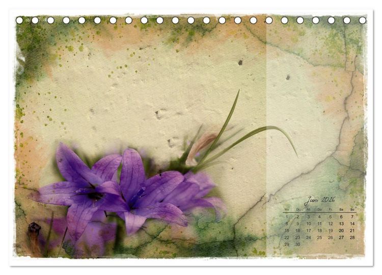 Produktbild: Bl&uuml;te trifft auf Aquarell (Tischkalender 2026 DIN A5 quer), CALVENDO Monatskalender