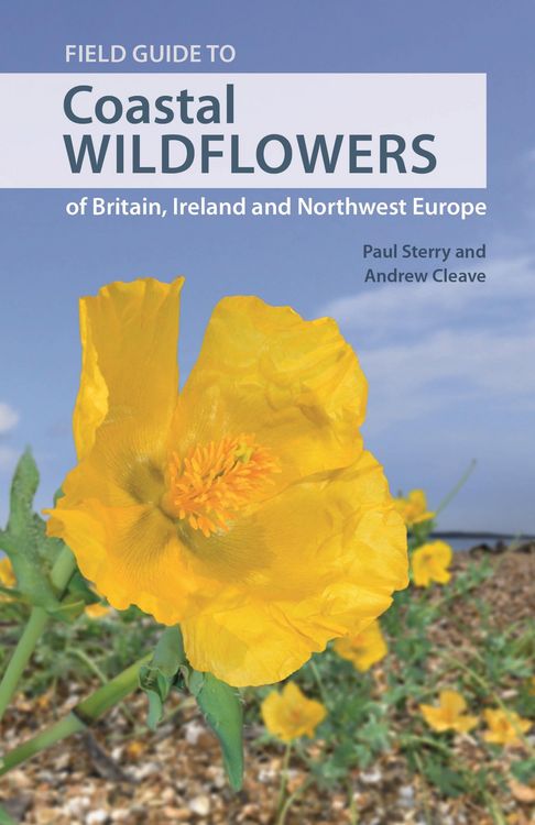 Produktbild: Field Guide to Coastal Wildflowers of Britain, Ireland and Northwest Europe