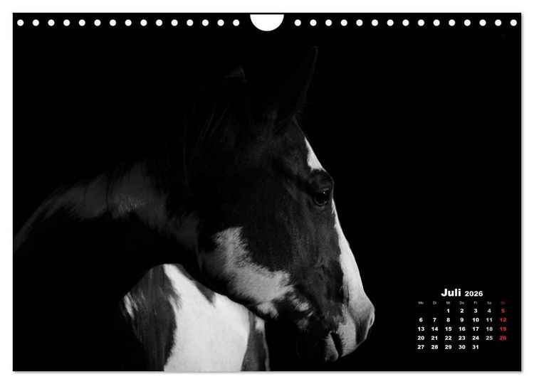 Produktbild: Pferde zwischen Licht und Schatten (Wandkalender 2026 DIN A4 quer), CALVENDO Monatskalender