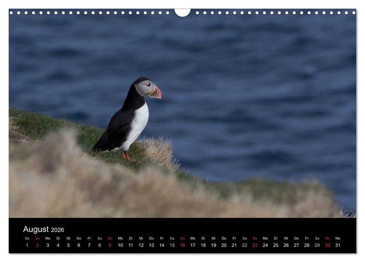 Produktbild: Eindr&uuml;cklich Island 2026 (Wandkalender 2026 DIN A3 quer), CALVENDO Monatskalender