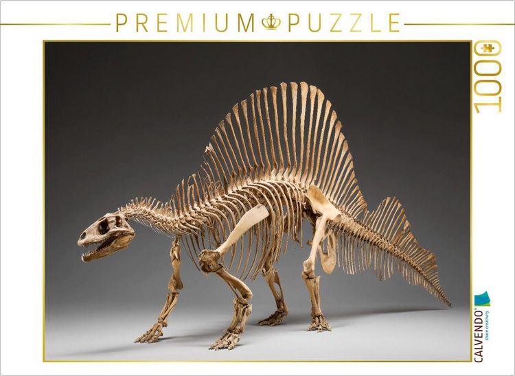 Produktbild: CALVENDO Puzzle Dinosaurier Spinosaurus-Skelett mit langem Kiefer und R&uuml;ckensegel | 1000 Teile Lege-Gr&ouml;&szlig;e 64x48cm Foto-Puzzle f&uuml;r gl&uuml;ckliche Stunden